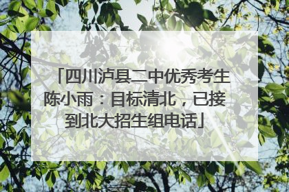 四川泸县二中优秀考生陈小雨：目标清北，已接到北大招生组电话