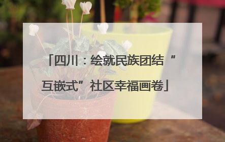 四川：绘就民族团结“互嵌式”社区幸福画卷