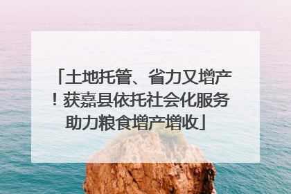 土地托管、省力又增产！获嘉县依托社会化服务助力粮食增产增收