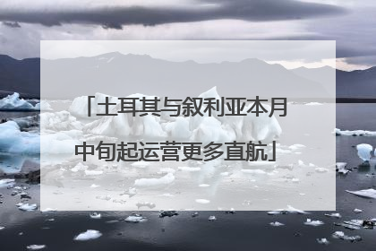 土耳其与叙利亚本月中旬起运营更多直航