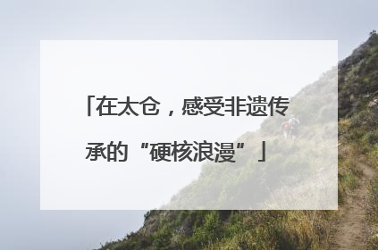 在太仓，感受非遗传承的“硬核浪漫”