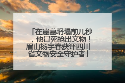 在崖墓坍塌前几秒，他冒死抢出文物！眉山杨宇春获评四川省文物安全守护者