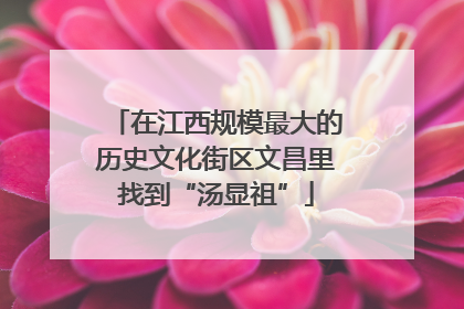 在江西规模最大的历史文化街区文昌里找到“汤显祖”