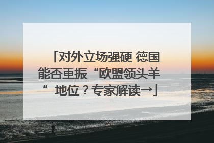 对外立场强硬 德国能否重振“欧盟领头羊”地位？专家解读→
