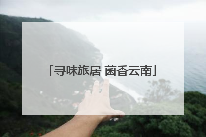 寻味旅居 菌香云南