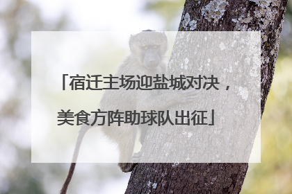 宿迁主场迎盐城对决，美食方阵助球队出征