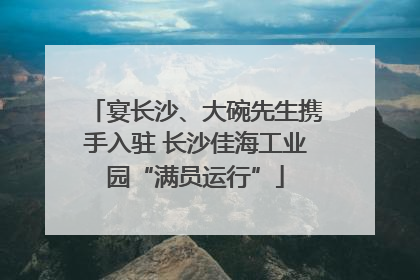 宴长沙、大碗先生携手入驻 长沙佳海工业园“满员运行”