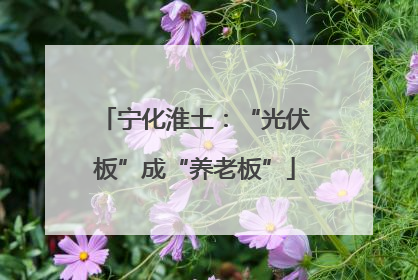 宁化淮土：“光伏板”成“养老板”