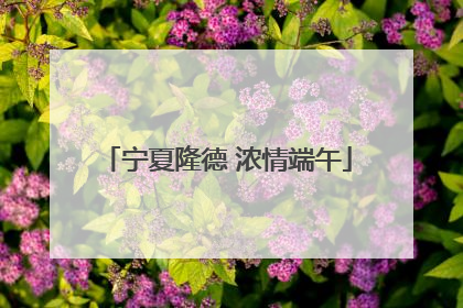 宁夏隆德 浓情端午