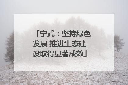 宁武：坚持绿色发展 推进生态建设取得显著成效