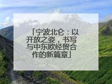 宁波北仑：以开放之姿，书写与中东欧经贸合作的新篇章