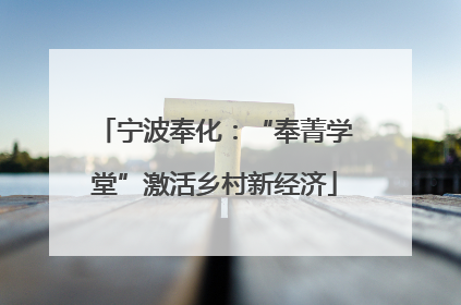 宁波奉化：“奉菁学堂”激活乡村新经济