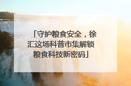 守护粮食安全，徐汇这场科普市集解锁粮食科技新密码