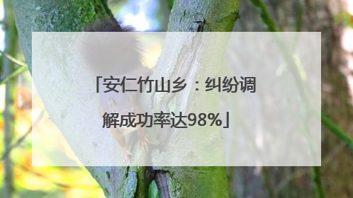 安仁竹山乡：纠纷调解成功率达98%