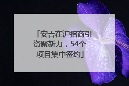 安吉在沪招商引资聚新力，54个项目集中签约