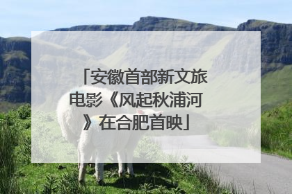 安徽首部新文旅电影《风起秋浦河》在合肥首映