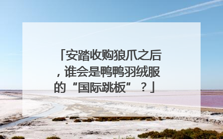 安踏收购狼爪之后，谁会是鸭鸭羽绒服的“国际跳板”？