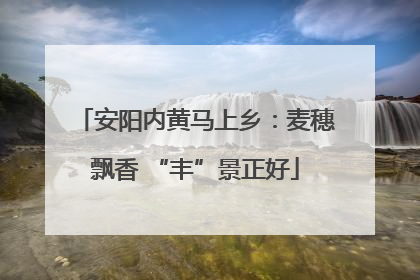 安阳内黄马上乡：麦穗飘香 “丰”景正好