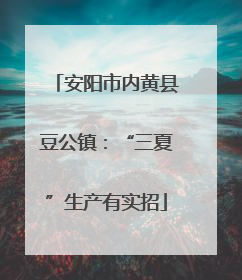 安阳市内黄县豆公镇：“三夏”生产有实招