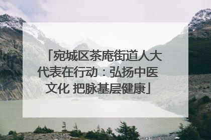 宛城区茶庵街道人大代表在行动：弘扬中医文化 把脉基层健康
