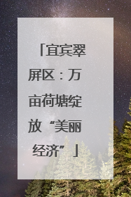 宜宾翠屏区：万亩荷塘绽放“美丽经济”