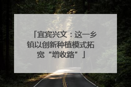 宜宾兴文：这一乡镇以创新种植模式拓宽“增收路”