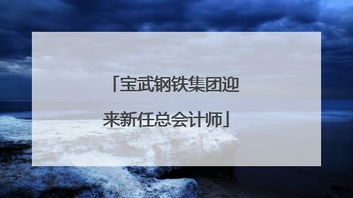 宝武钢铁集团迎来新任总会计师