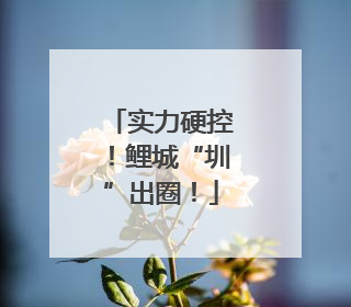 实力硬控！鲤城“圳”出圈！