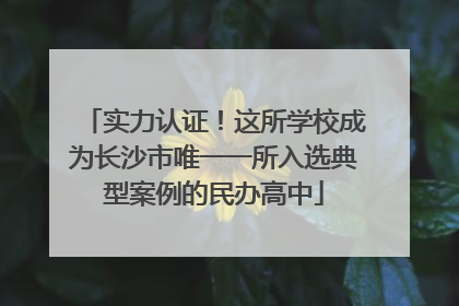 实力认证！这所学校成为长沙市唯一一所入选典型案例的民办高中