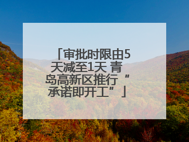 审批时限由5天减至1天 青岛高新区推行“承诺即开工”