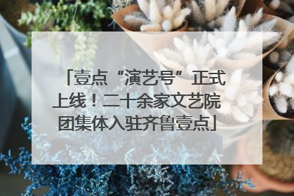 壹点“演艺号”正式上线！二十余家文艺院团集体入驻齐鲁壹点