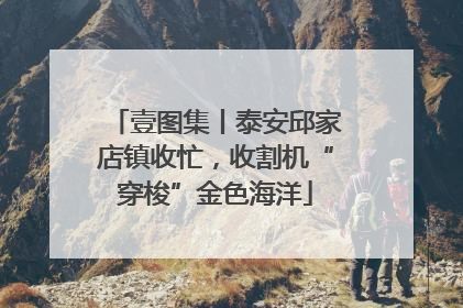 壹图集丨泰安邱家店镇收忙，收割机“穿梭”金色海洋