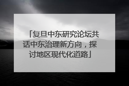 复旦中东研究论坛共话中东治理新方向，探讨地区现代化道路