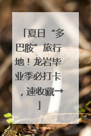 夏日“多巴胺”旅行地！龙岩毕业季必打卡，速收藏→