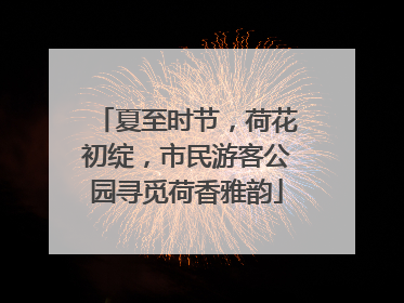 夏至时节，荷花初绽，市民游客公园寻觅荷香雅韵