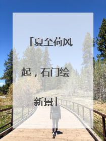 夏至荷风起，石门绘新景