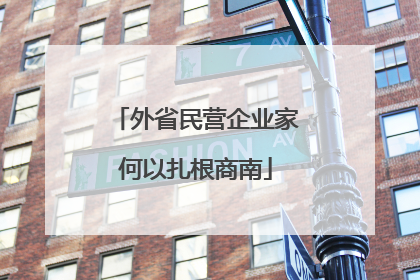 外省民营企业家何以扎根商南