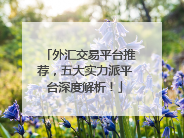 外汇交易平台推荐，五大实力派平台深度解析！