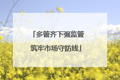 多管齐下强监管 筑牢市场守防线
