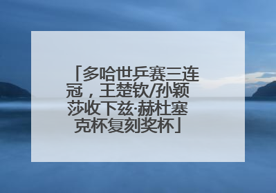 多哈世乒赛三连冠，王楚钦/孙颖莎收下兹·赫杜塞克杯复刻奖杯