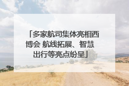 多家航司集体亮相西博会 航线拓展、智慧出行等亮点纷呈