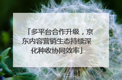 多平台合作升级，京东内容营销生态持续深化种收协同效率