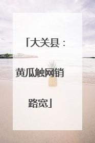大关县：黄瓜触网销路宽