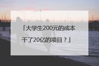 大学生200元的成本干了20亿的项目？