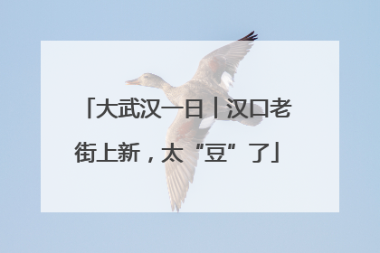 大武汉一日︱汉口老街上新，太“豆”了