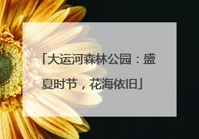 大运河森林公园：盛夏时节，花海依旧
