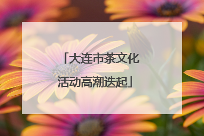 大连市茶文化活动高潮迭起