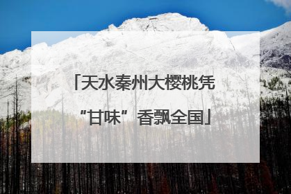 天水秦州大樱桃凭“甘味”香飘全国