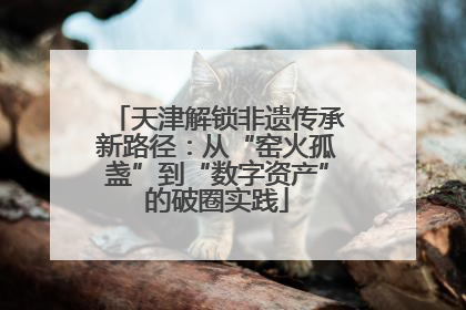 天津解锁非遗传承新路径：从“窑火孤盏”到“数字资产”的破圈实践