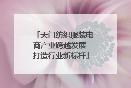 天门纺织服装电商产业跨越发展 打造行业新标杆
